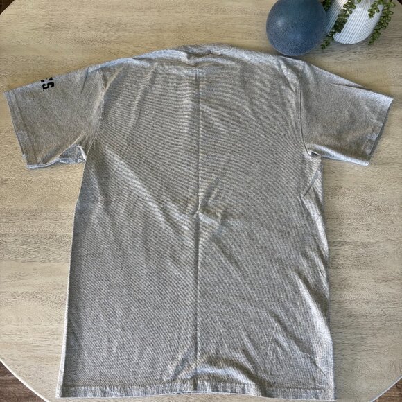 JMU James Madison University Gray T-Shirt from Champion Men’s Large - Picture 2 of 9